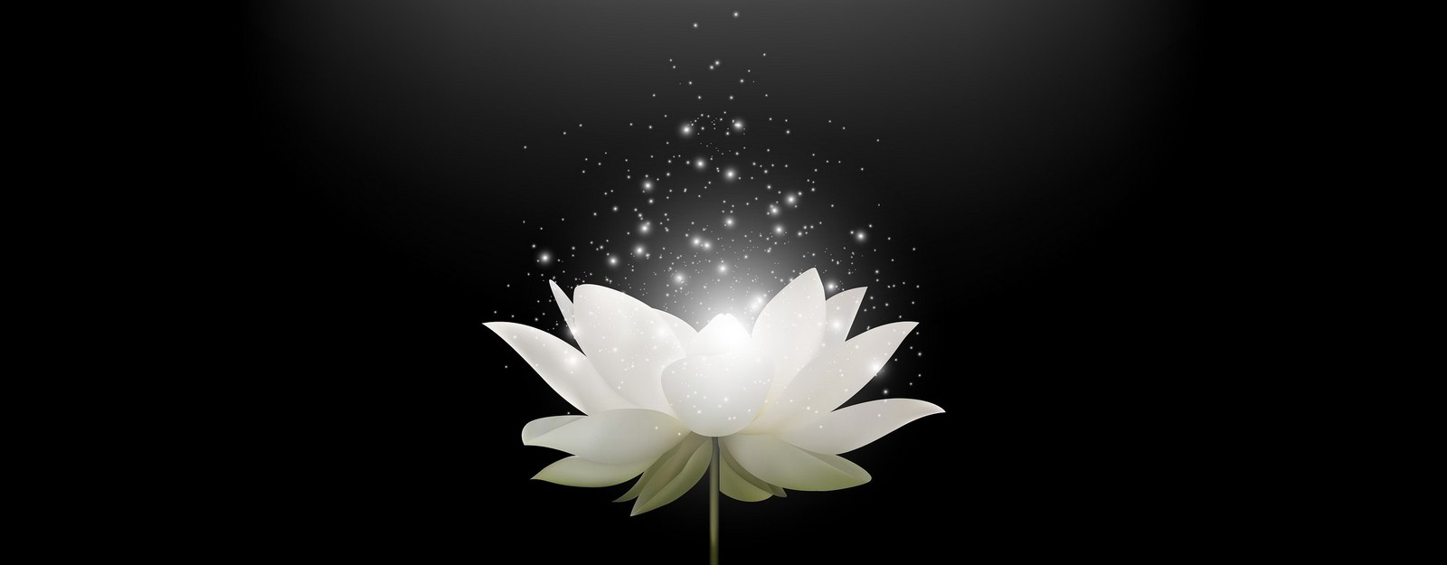 Seeds Of Renewal – Psychological Therapies